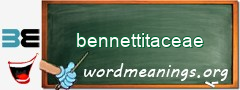 WordMeaning blackboard for bennettitaceae